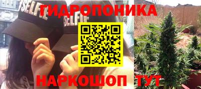 гидра Рыбинск