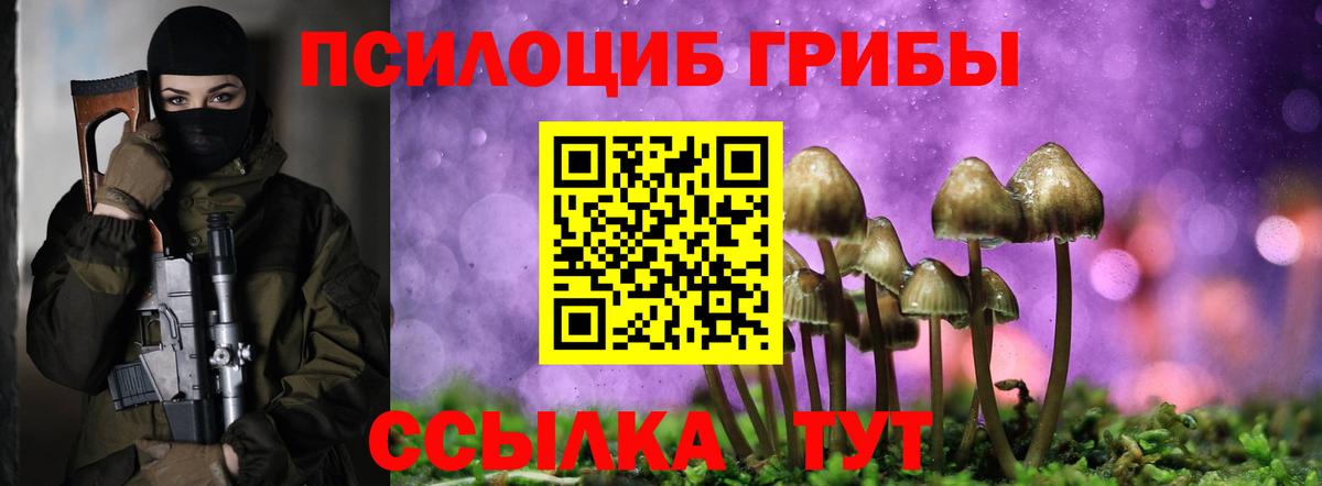 Северобайкальск  Галлюциногенные грибы MAGIC MUSHROOMS  Вход с VPN 